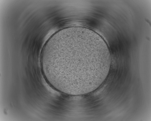 X0000097501090200803142014