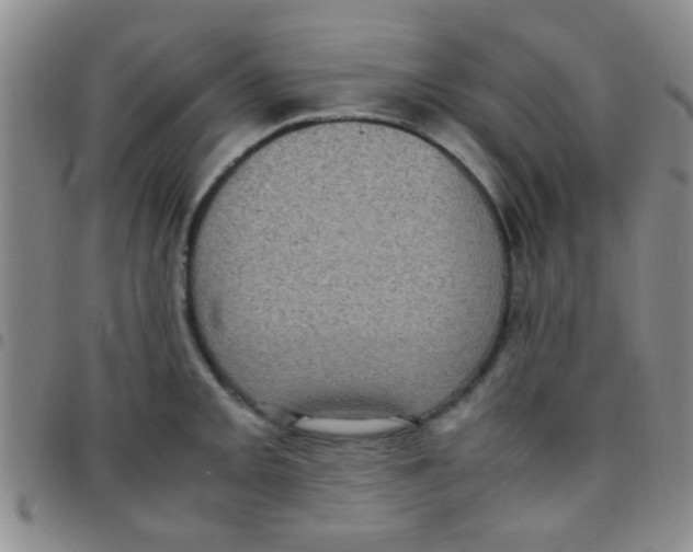 X0000097501093200803142014