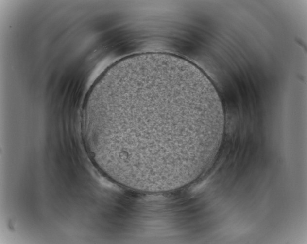 X0000097501094200803142014