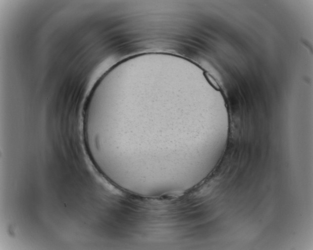 X0000097501096200803142014