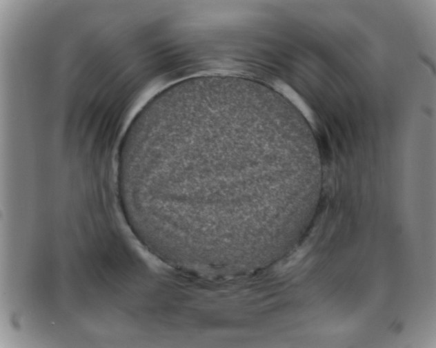 X0000097501099200803142014