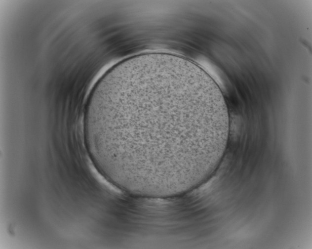 X0000097501100200803142014