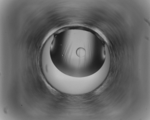 X0000097501101200803142014