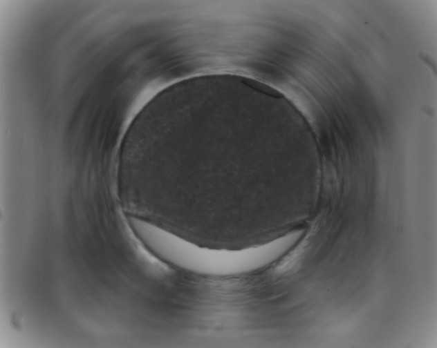 X0000097501102200803142014