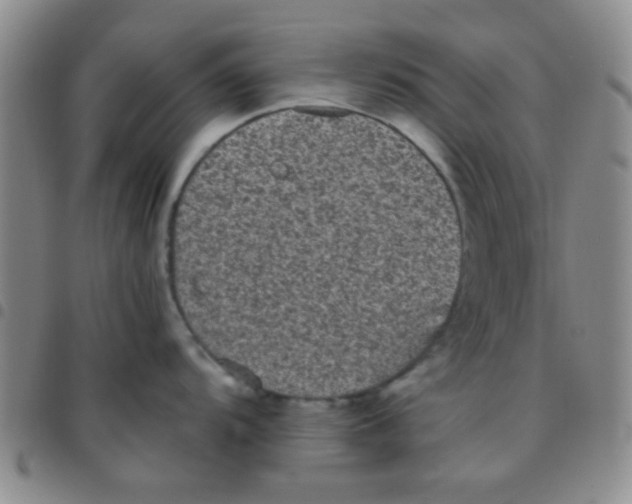 X0000097501104200803142014