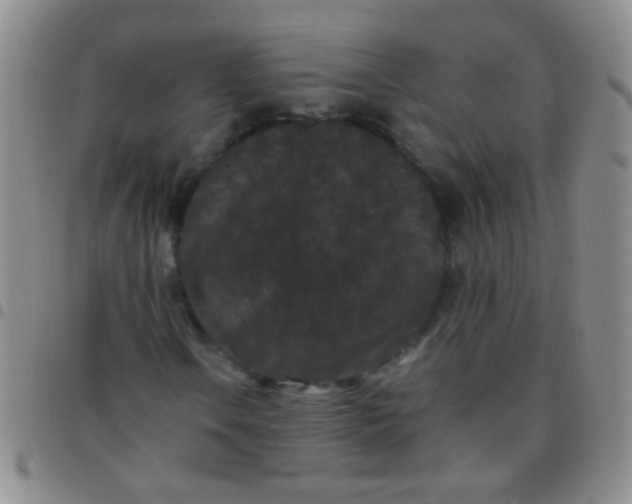 X0000097501106200803142013