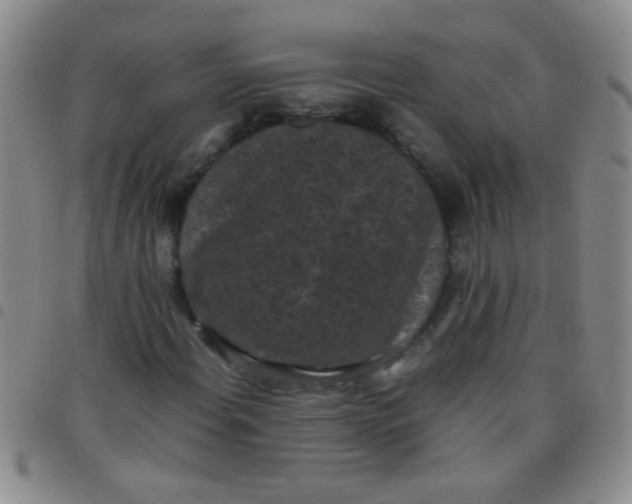 X0000097501108200803142013