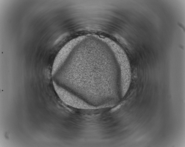 X0000097501110200803142013