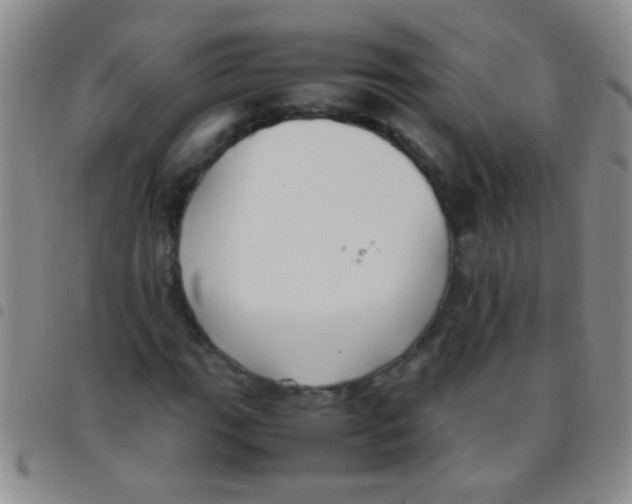 X0000097501111200803142013