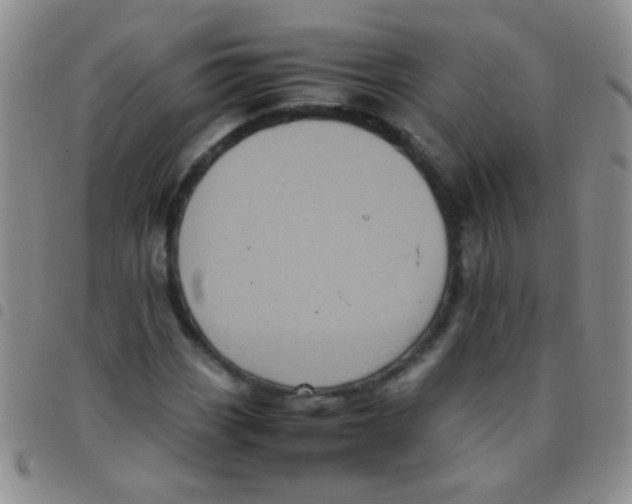 X0000097501113200803142013