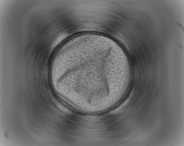 X0000097501114200803142013