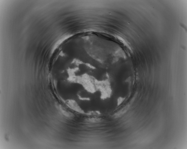 X0000097501117200803142013