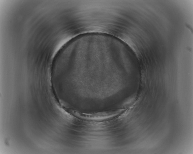 X0000097501120200803142013