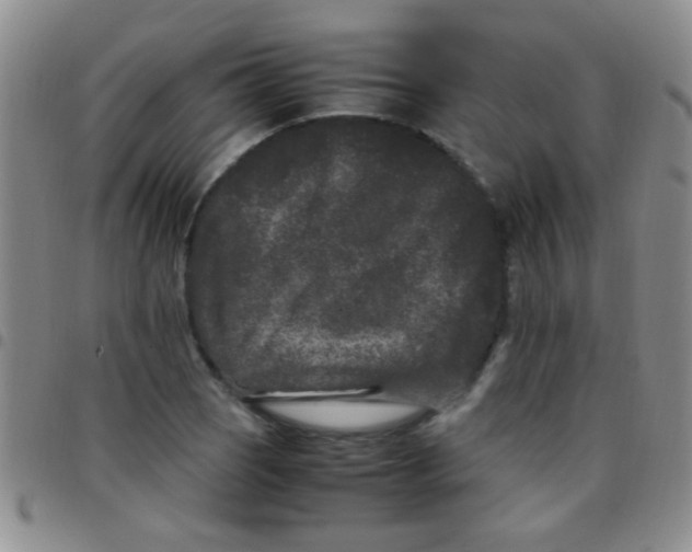 X0000097501121200803142014