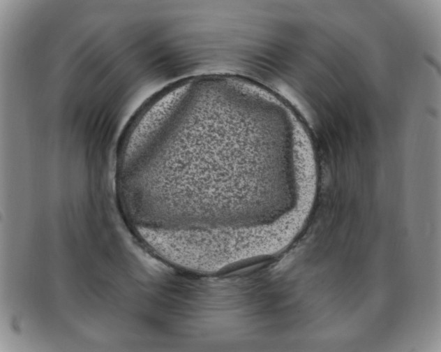 X0000097501124200803142014