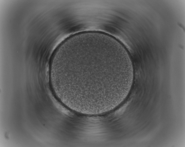 X0000097501126200803142014