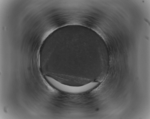 X0000097501127200803142014