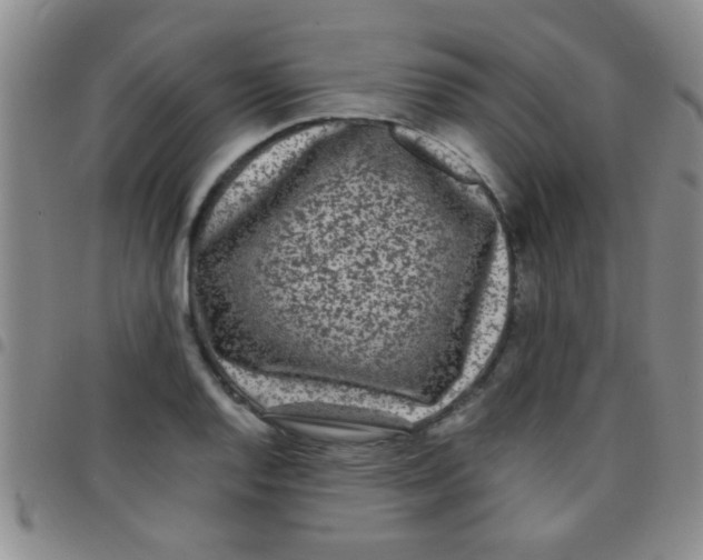 X0000097501128200803142014