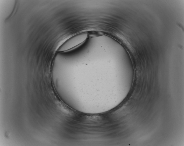 X0000097501129200803142014