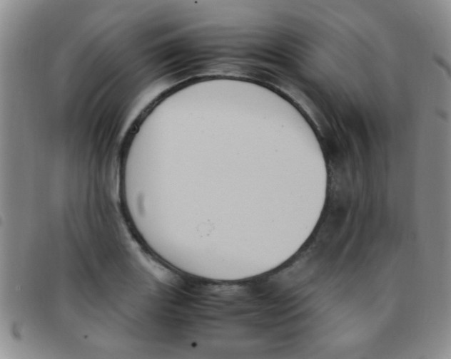 X0000097501131200803142014