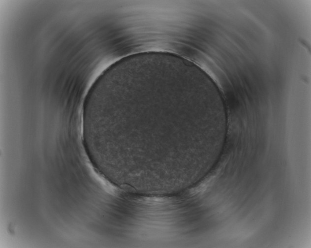 X0000097501132200803142014