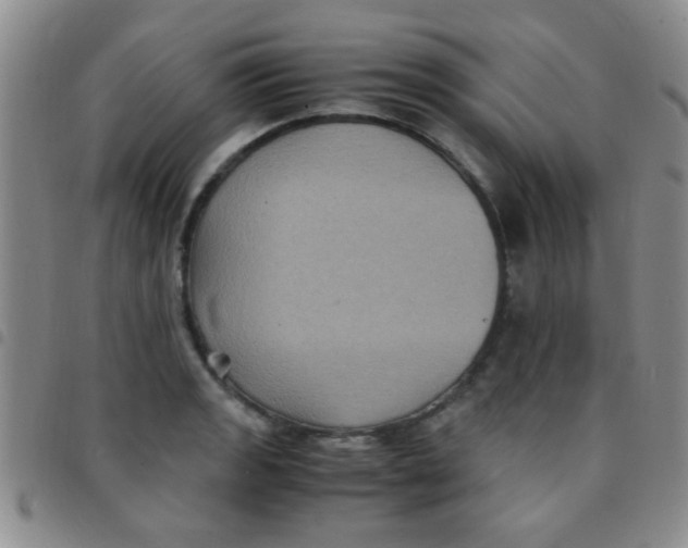 X0000097501133200803142014