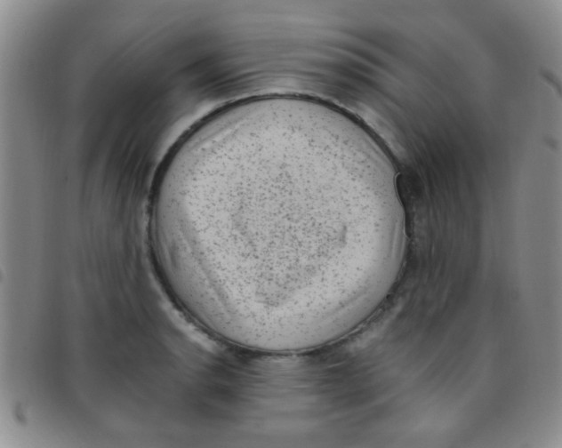 X0000097501134200803142014