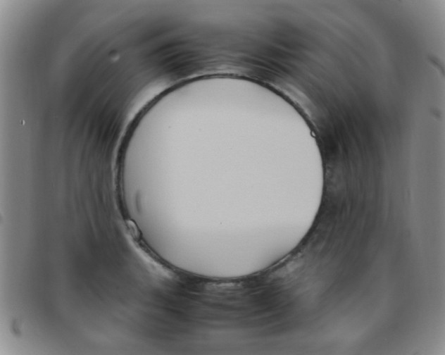 X0000097501135200803142014