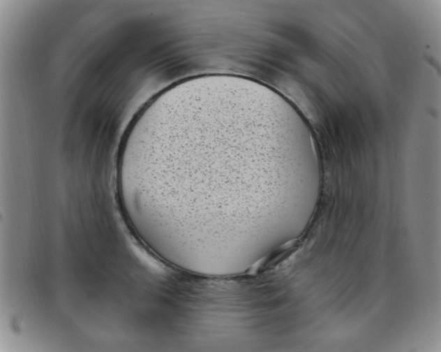 X0000097501136200803142014