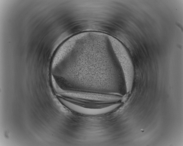 X0000097501138200803142014