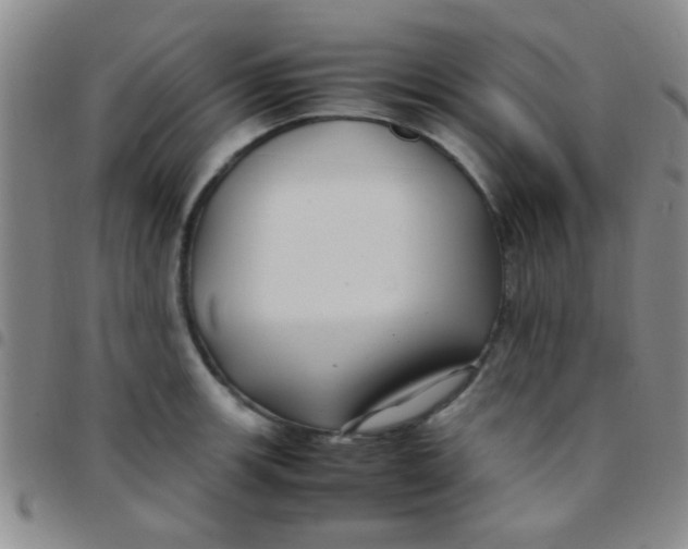 X0000097501139200803142014