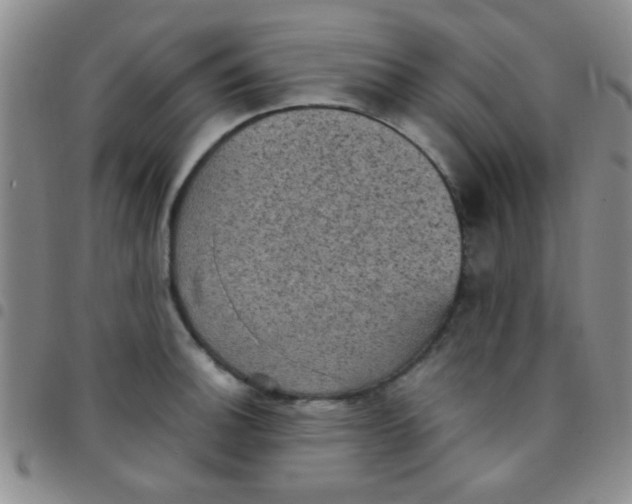 X0000097501140200803142014