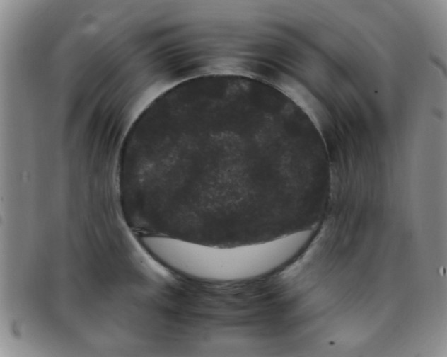 X0000097501141200803142014