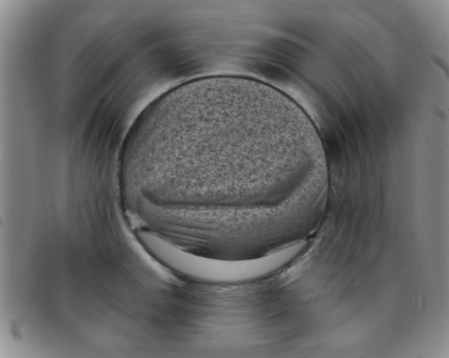 X0000097501142200803142014