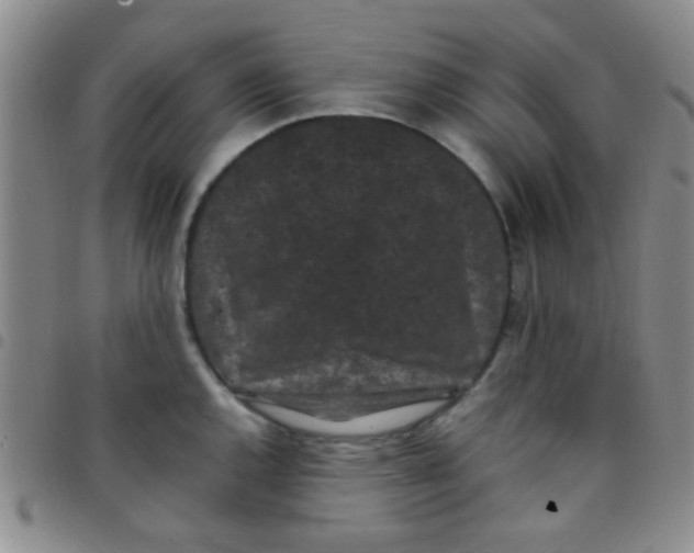 X0000097501144200803142014