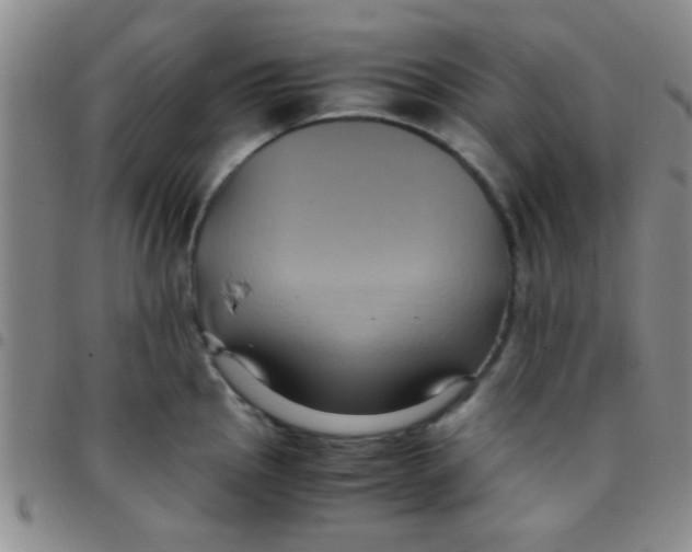 X0000097501145200803142014