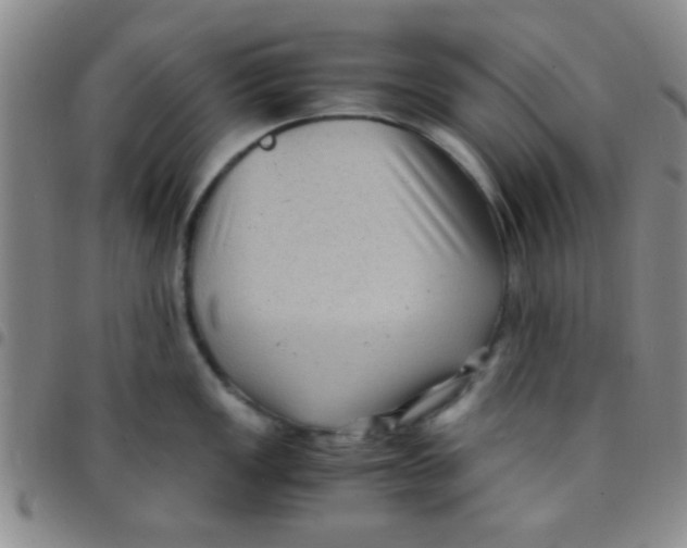 X0000097501149200803142014