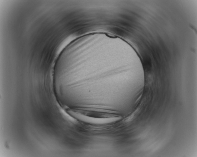 X0000097501151200803142014