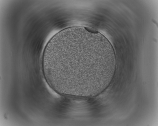 X0000097501152200803142014