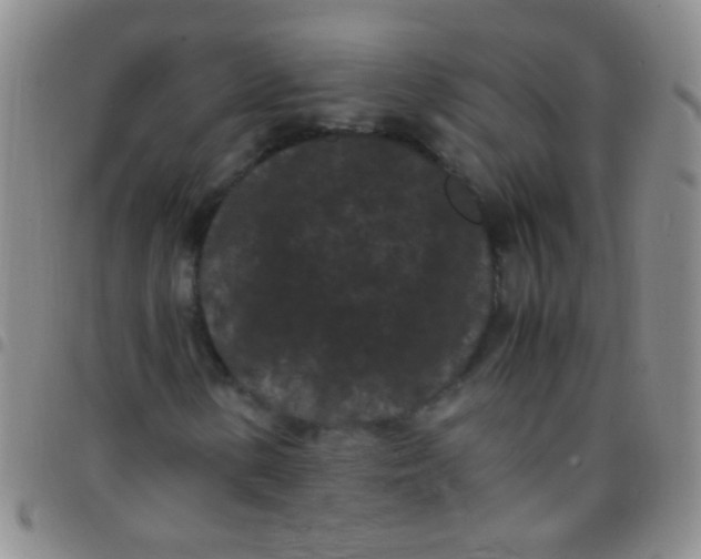 X0000097501154200803142013