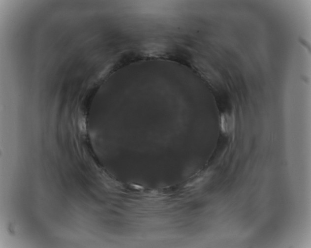 X0000097501155200803142013