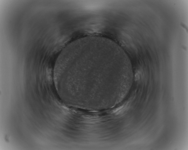 X0000097501156200803142013