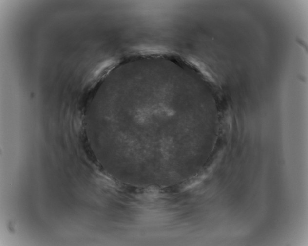 X0000097501157200803142013