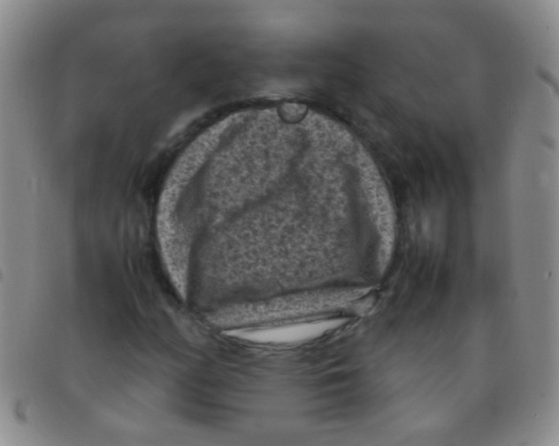 X0000097501158200803142013