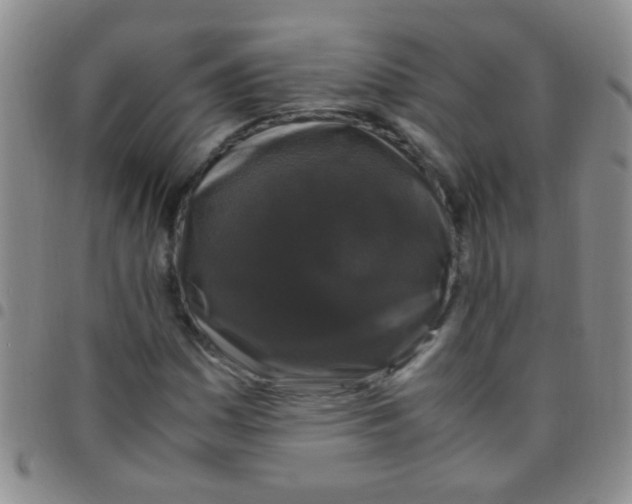 X0000097501161200803142013