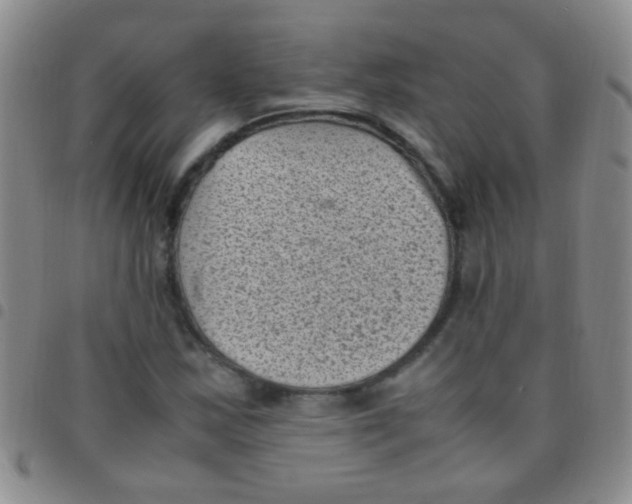 X0000097501163200803142013