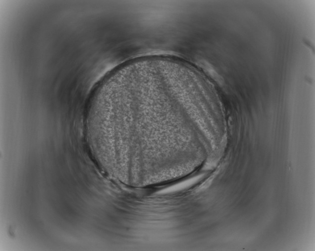 X0000097501165200803142013