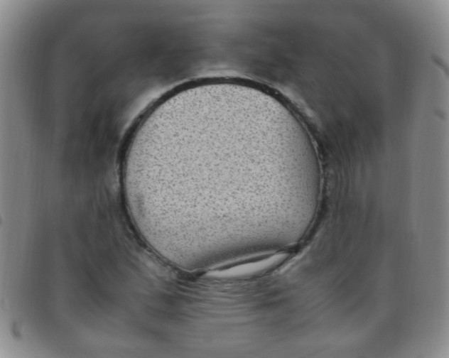 X0000097501167200803142013