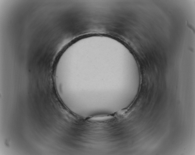 X0000097501168200803142013