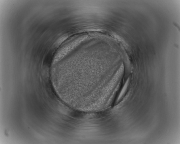 X0000097501169200803142013